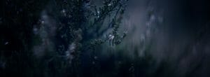 Die Nacht 12 300x110 - PeterLicht Moritz Moessinger Director of Photography Cinematographer Germany Hamburg 12