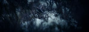 Die Nacht 13 300x110 - PeterLicht Moritz Moessinger Director of Photography Cinematographer Germany Hamburg 11