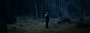 Die Nacht 9 300x110 - PeterLicht Moritz Moessinger Director of Photography Cinematographer Germany Hamburg 14