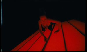 SARRACENIA FILM STILLS 1.13.4 300x180 - SARRACENIA_FILM_STILLS_1.13.4