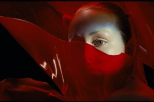 SARRACENIA FILM STILLS 1.13.8 e1697820533983 300x200 - SARRACENIA_FILM_STILLS_1.13.8