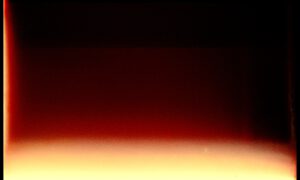 SARRACENIA FILM STILLS 1.26.1 300x180 - SARRACENIA_FILM_STILLS_1.26.1