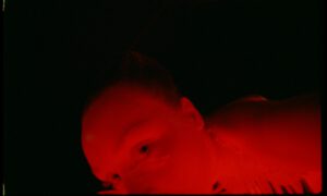 SARRACENIA FILM STILLS 1.34.1 300x180 - SARRACENIA_FILM_STILLS_1.34.1