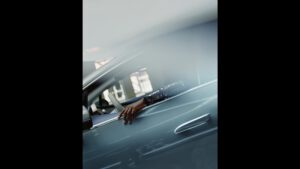 Untitled 1.6.2 300x169 - Untitled_1.6.2