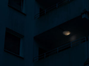 A Distant Figure 1.1.2 300x225 - A Distant Figure_1.1.2
